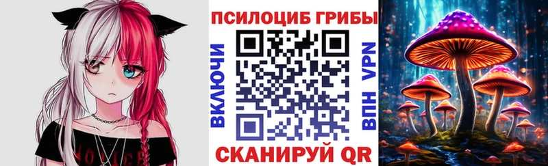 Псилоцибиновые грибы Cubensis  купить наркотики цена  Хотьково 